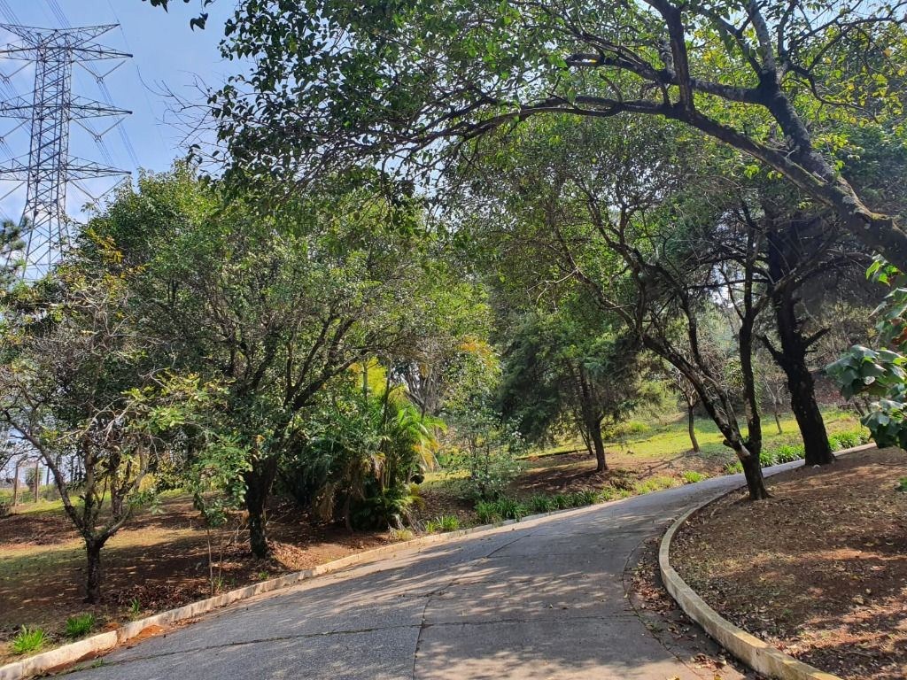 Terreno, 3 hectares - Foto 46