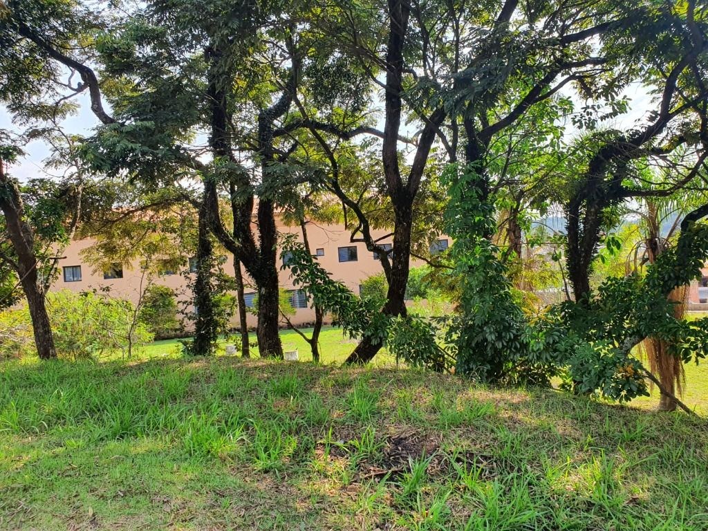 Terreno, 3 hectares - Foto 26