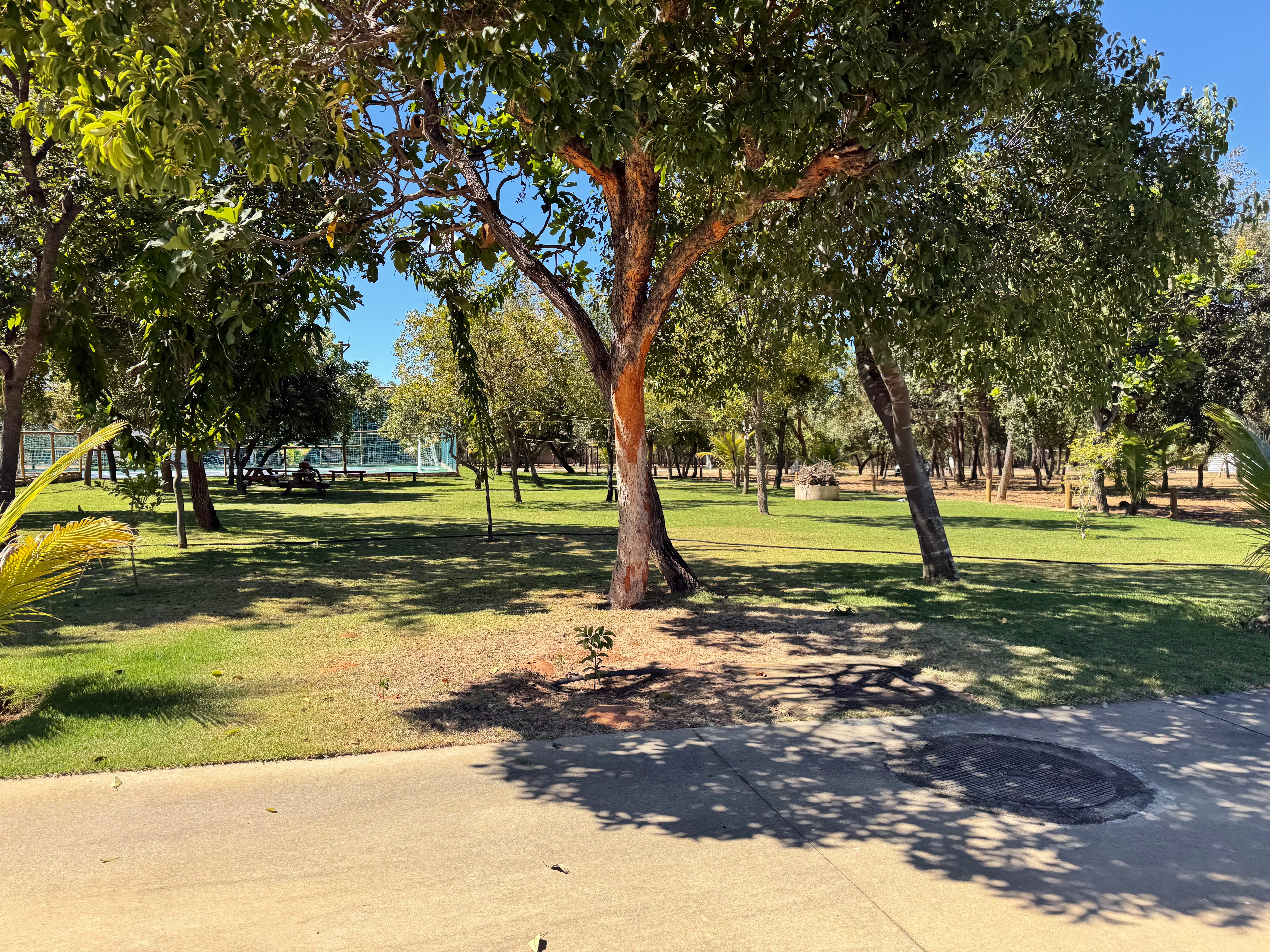 Terreno, 560 m² - Foto 3