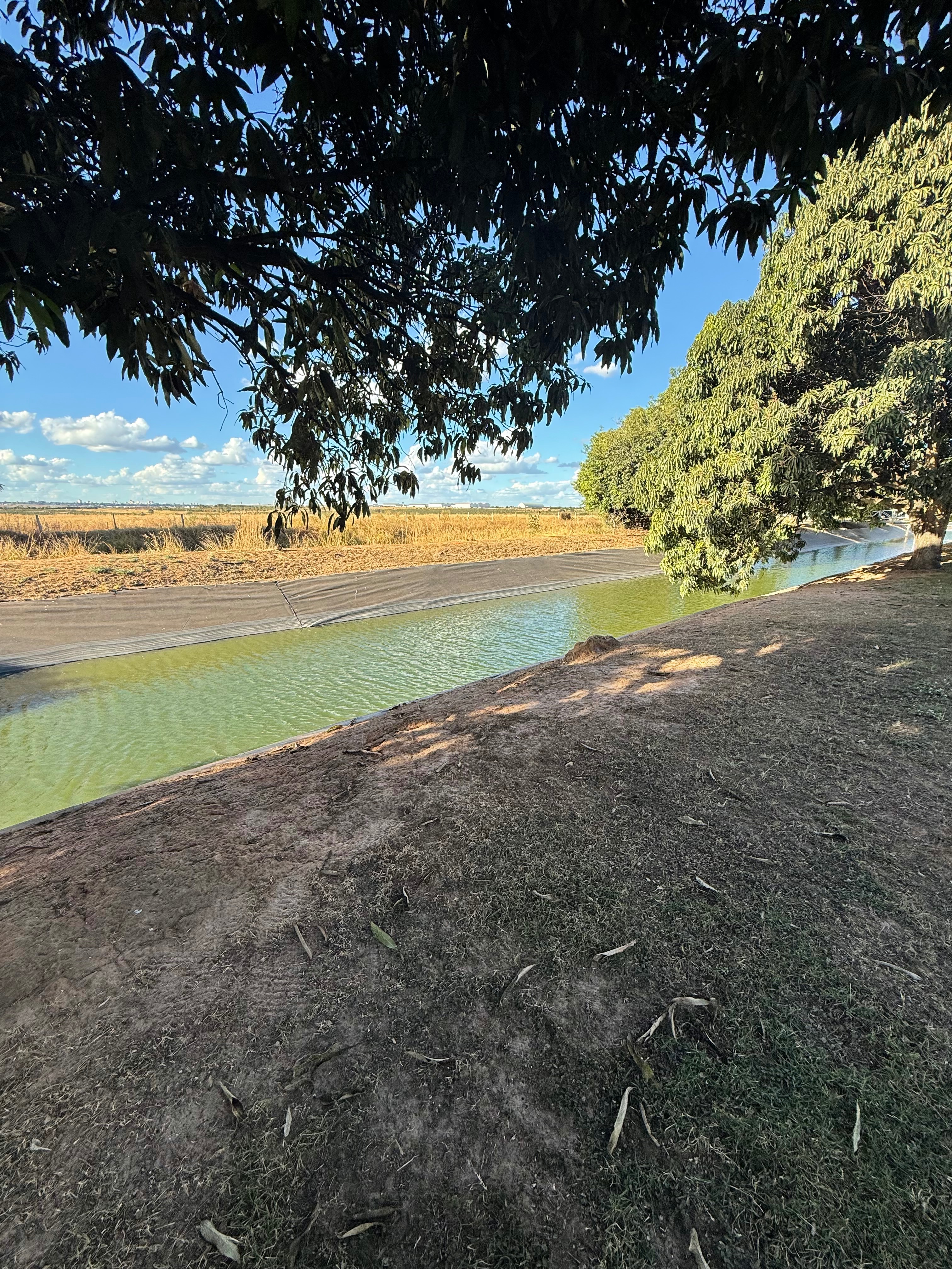 Sítio à venda com 5 quartos, 950000m² - Foto 32