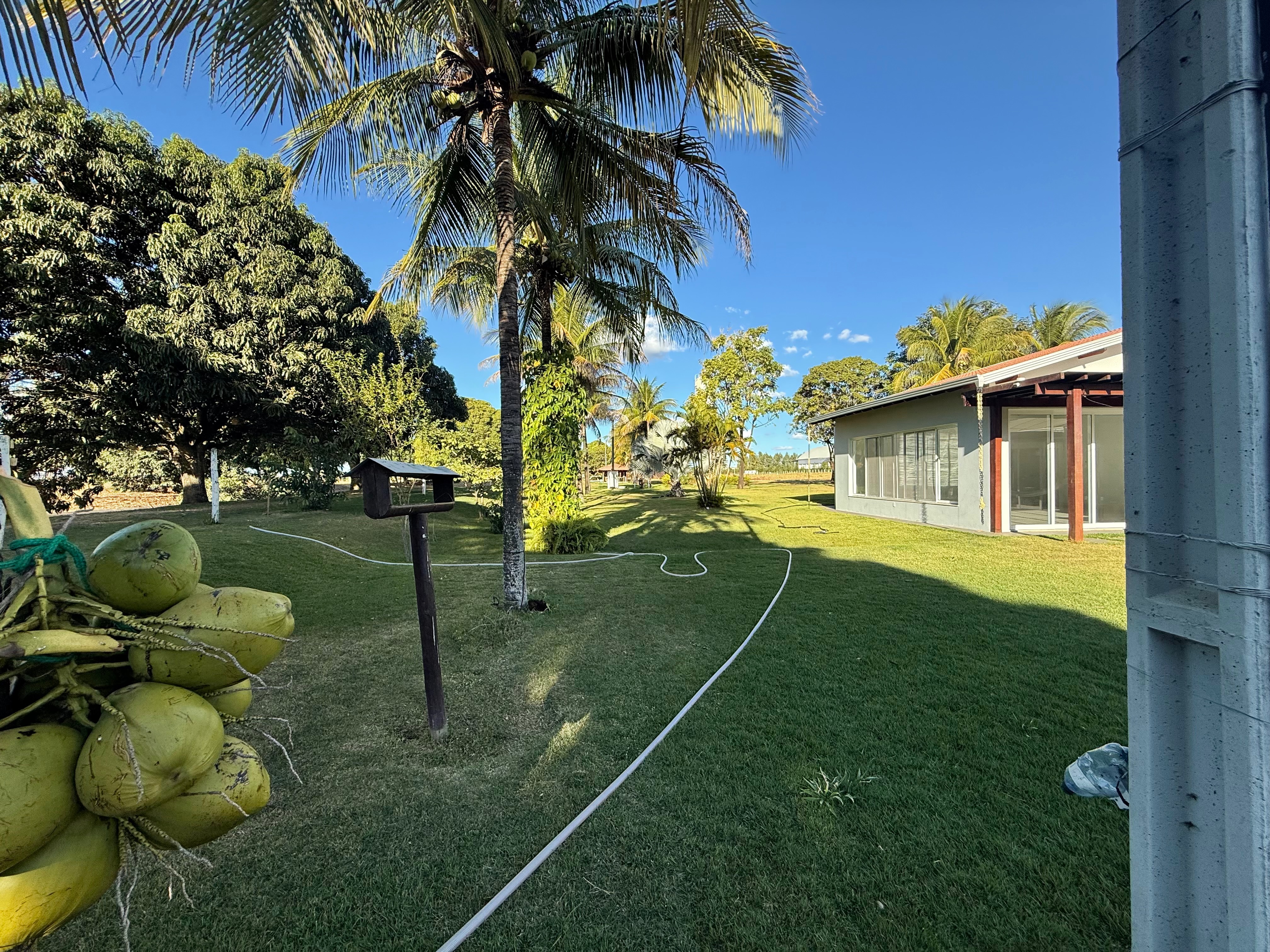 Sítio à venda com 5 quartos, 950000m² - Foto 6