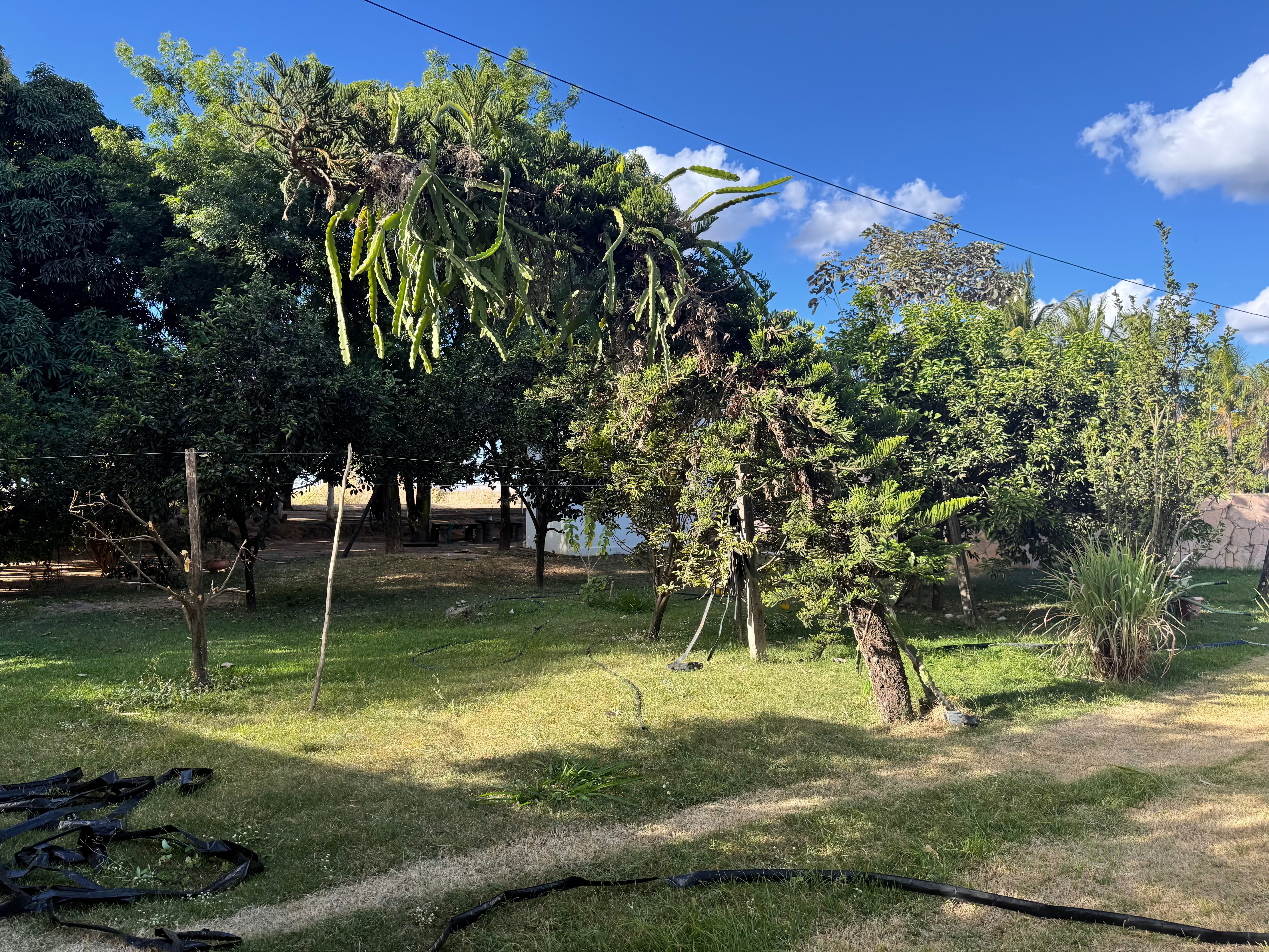 Sítio à venda com 5 quartos, 950000m² - Foto 15