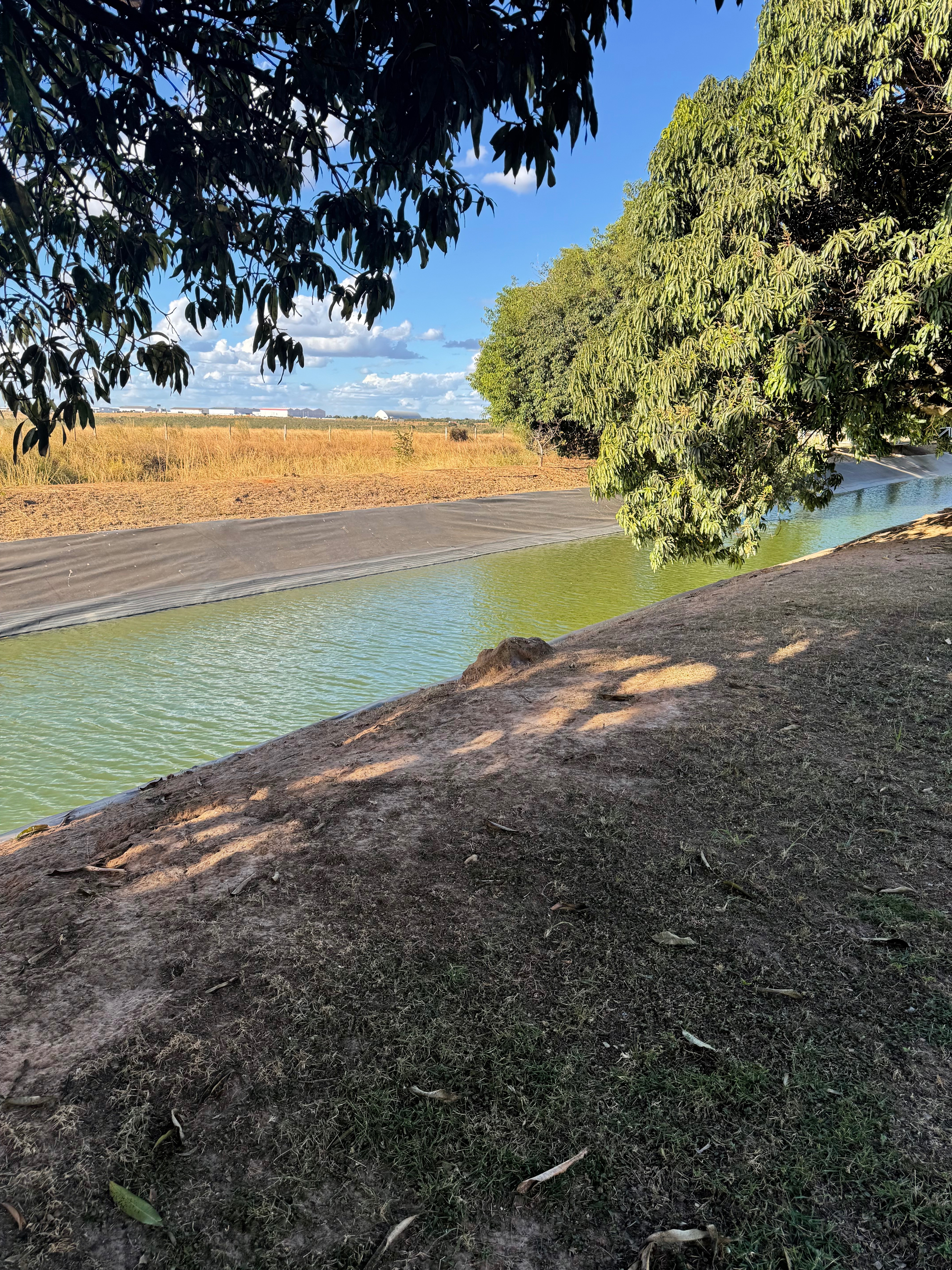 Sítio à venda com 5 quartos, 950000m² - Foto 26