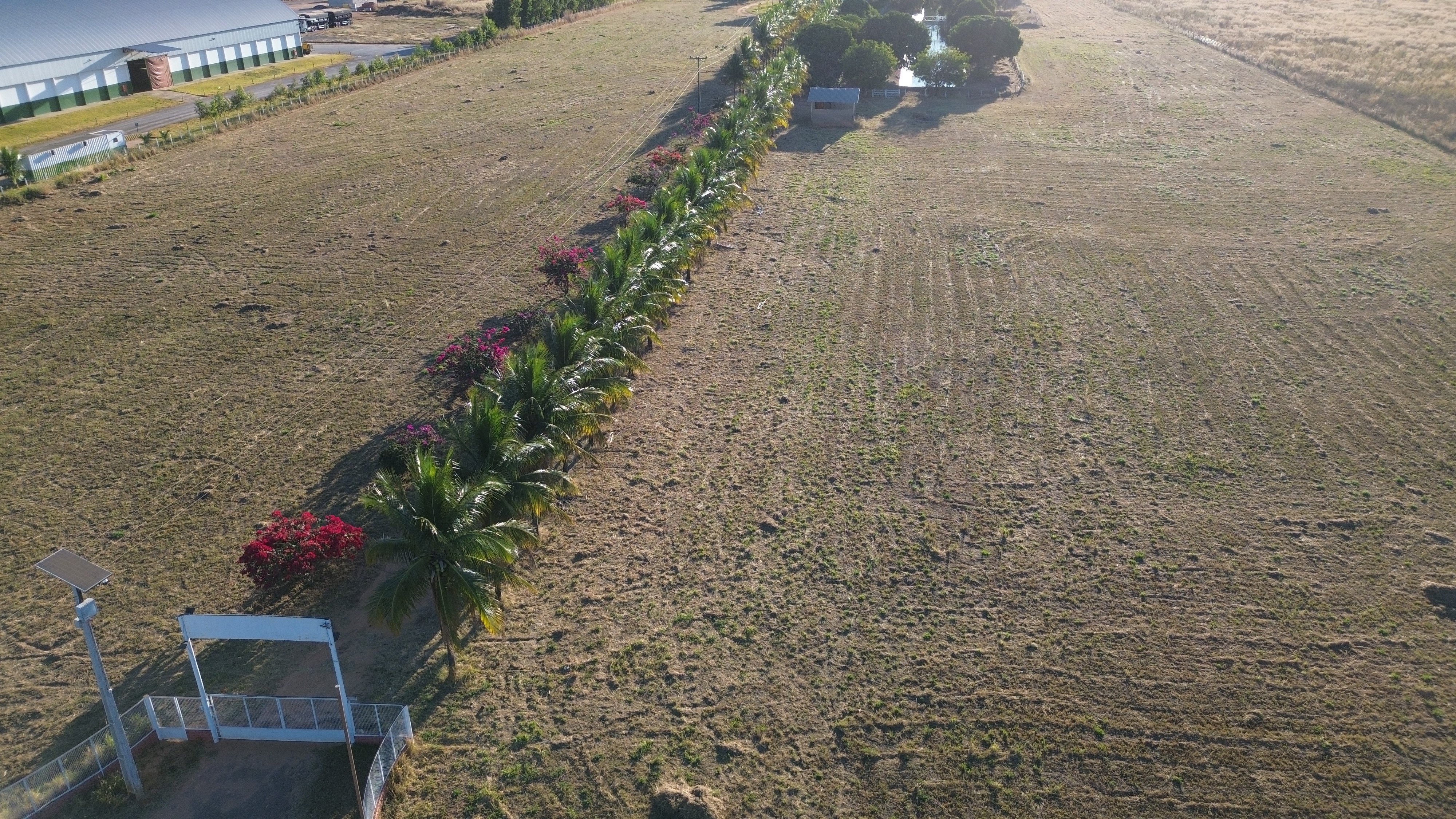 Sítio à venda com 5 quartos, 950000m² - Foto 28