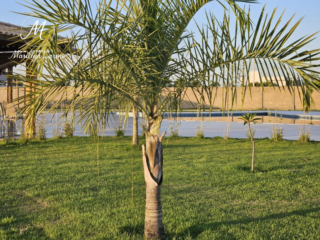 Terreno, 250 m² - Foto 3