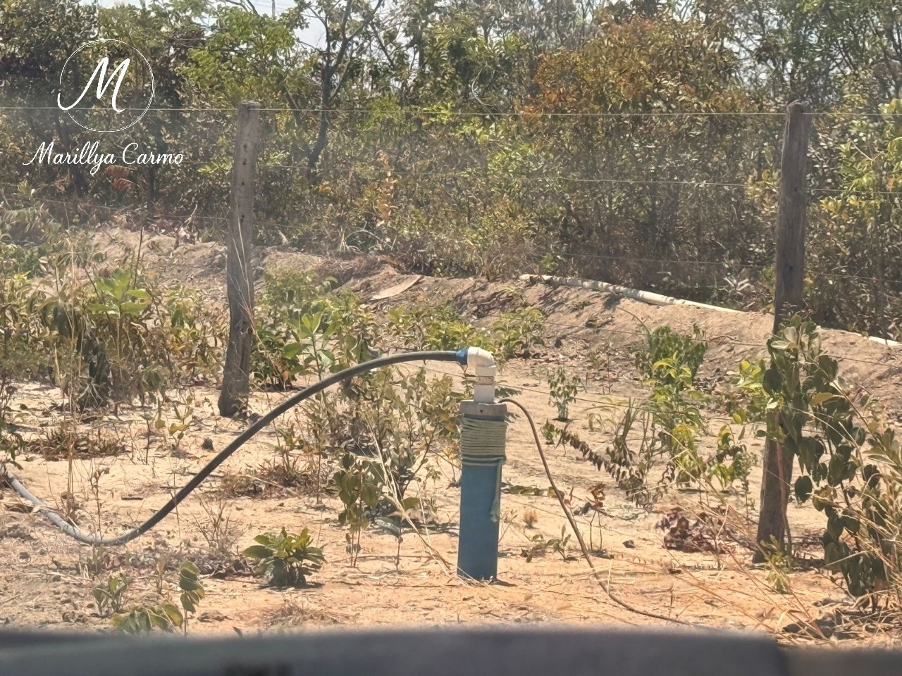 Fazenda-Sítio-Chácara - Foto 10