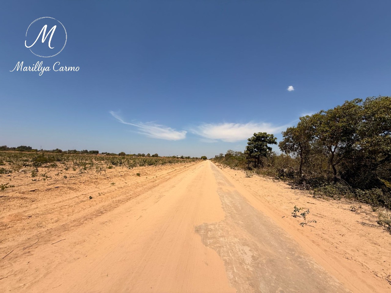 Fazenda-Sítio-Chácara - Foto 7