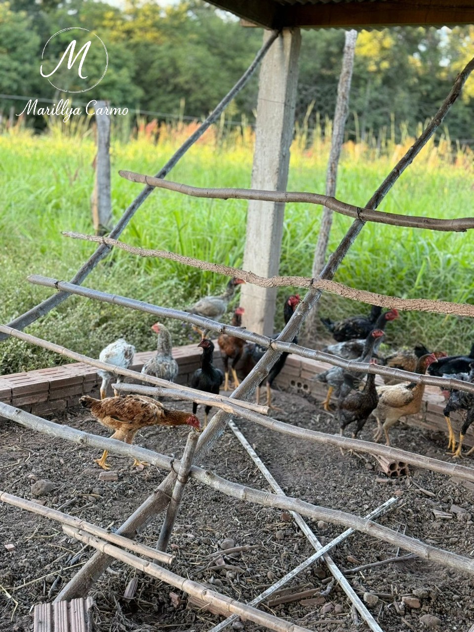 Sítio, 5 quartos - Foto 29