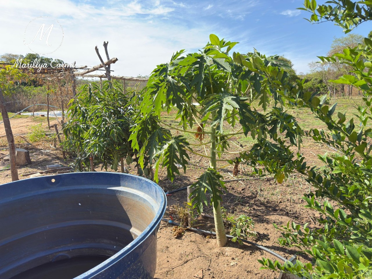 Sítio, 5 quartos - Foto 7