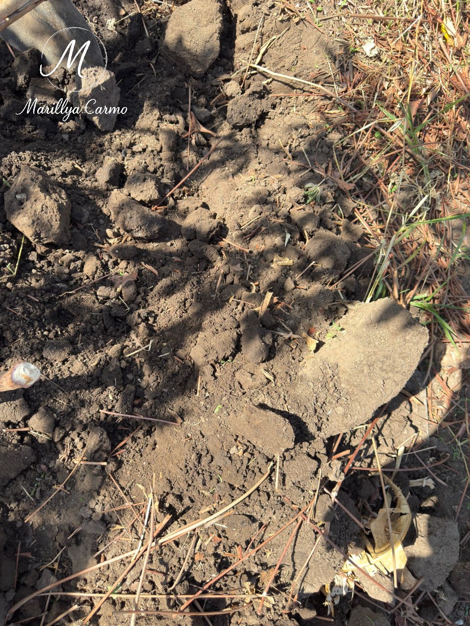 Sítio, 5 quartos - Foto 9