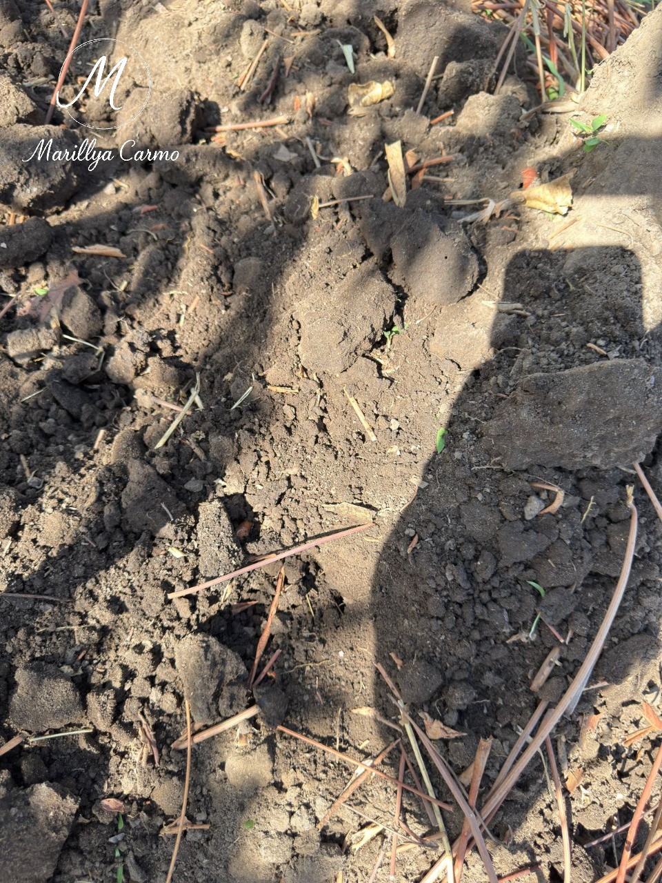 Sítio, 5 quartos - Foto 8