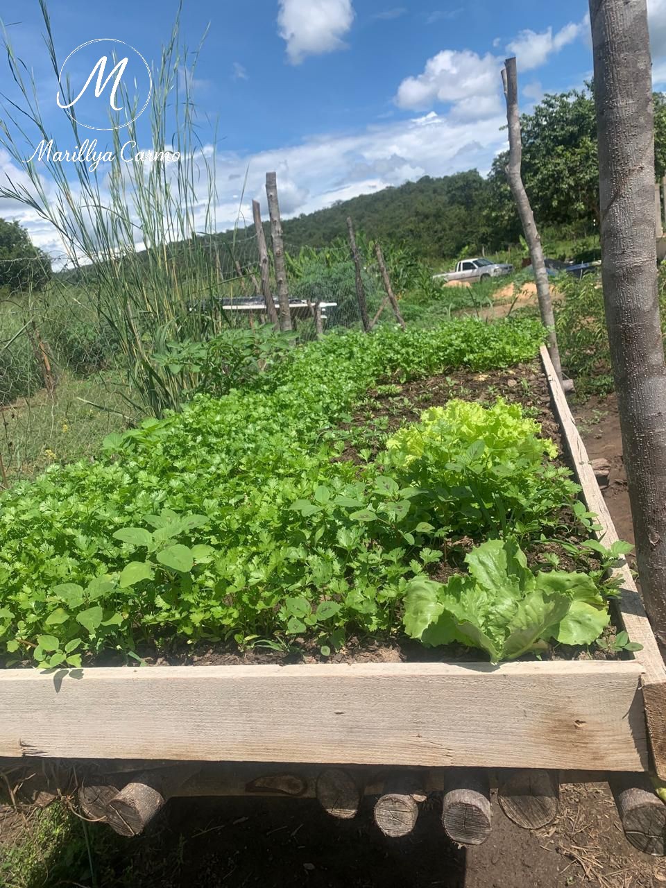 Sítio, 5 quartos - Foto 25