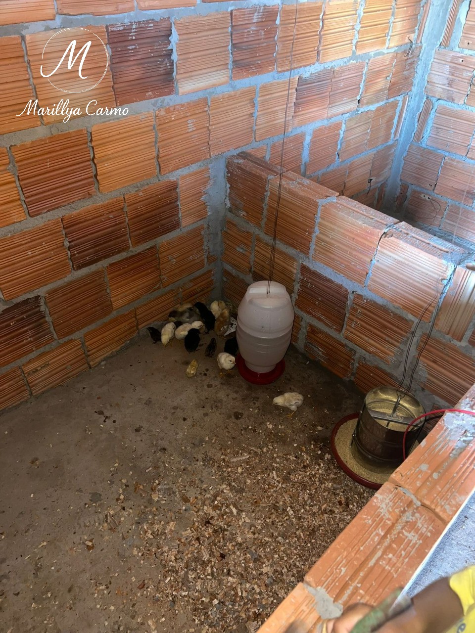 Sítio, 5 quartos - Foto 15