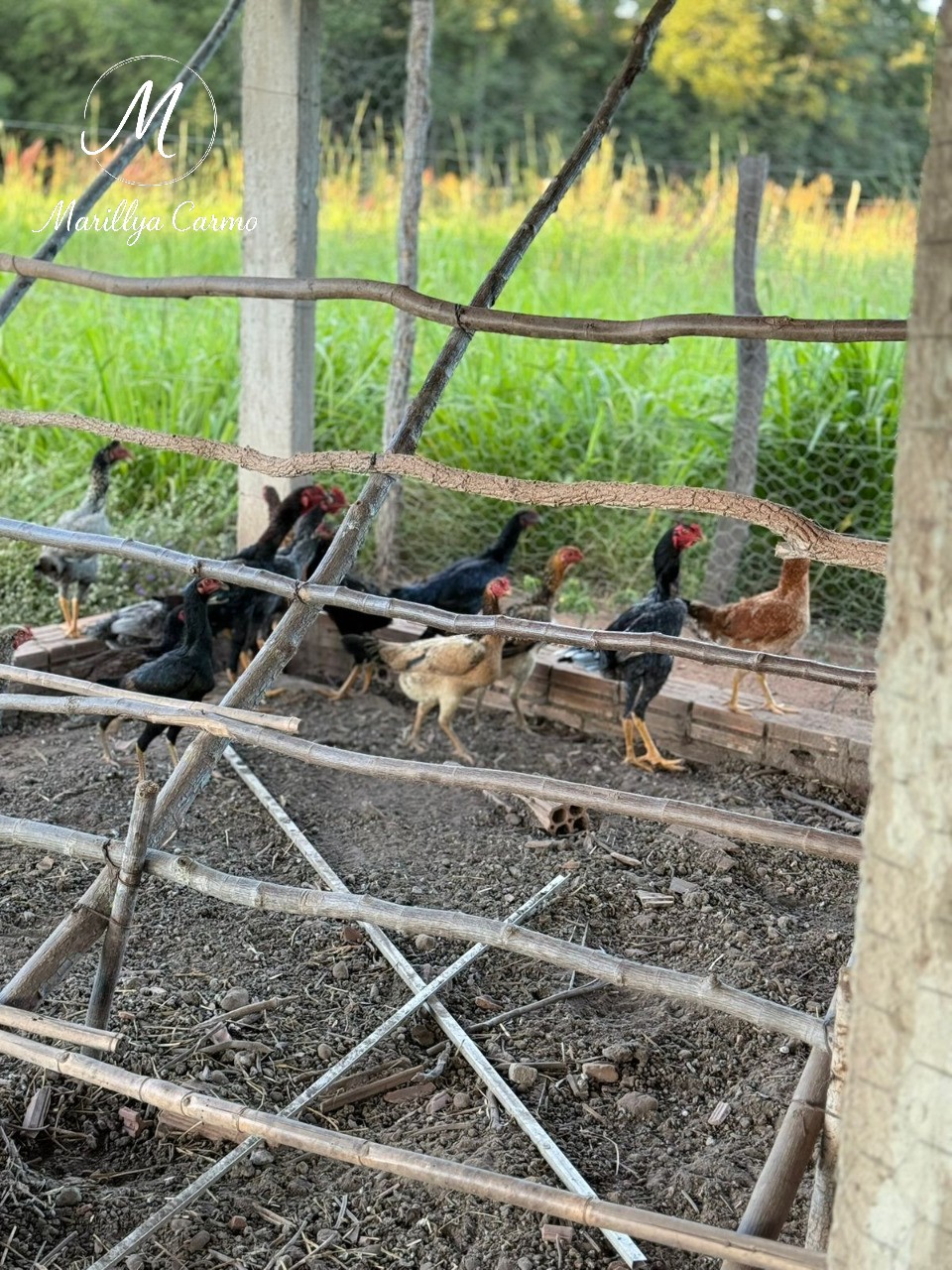 Sítio, 5 quartos - Foto 27