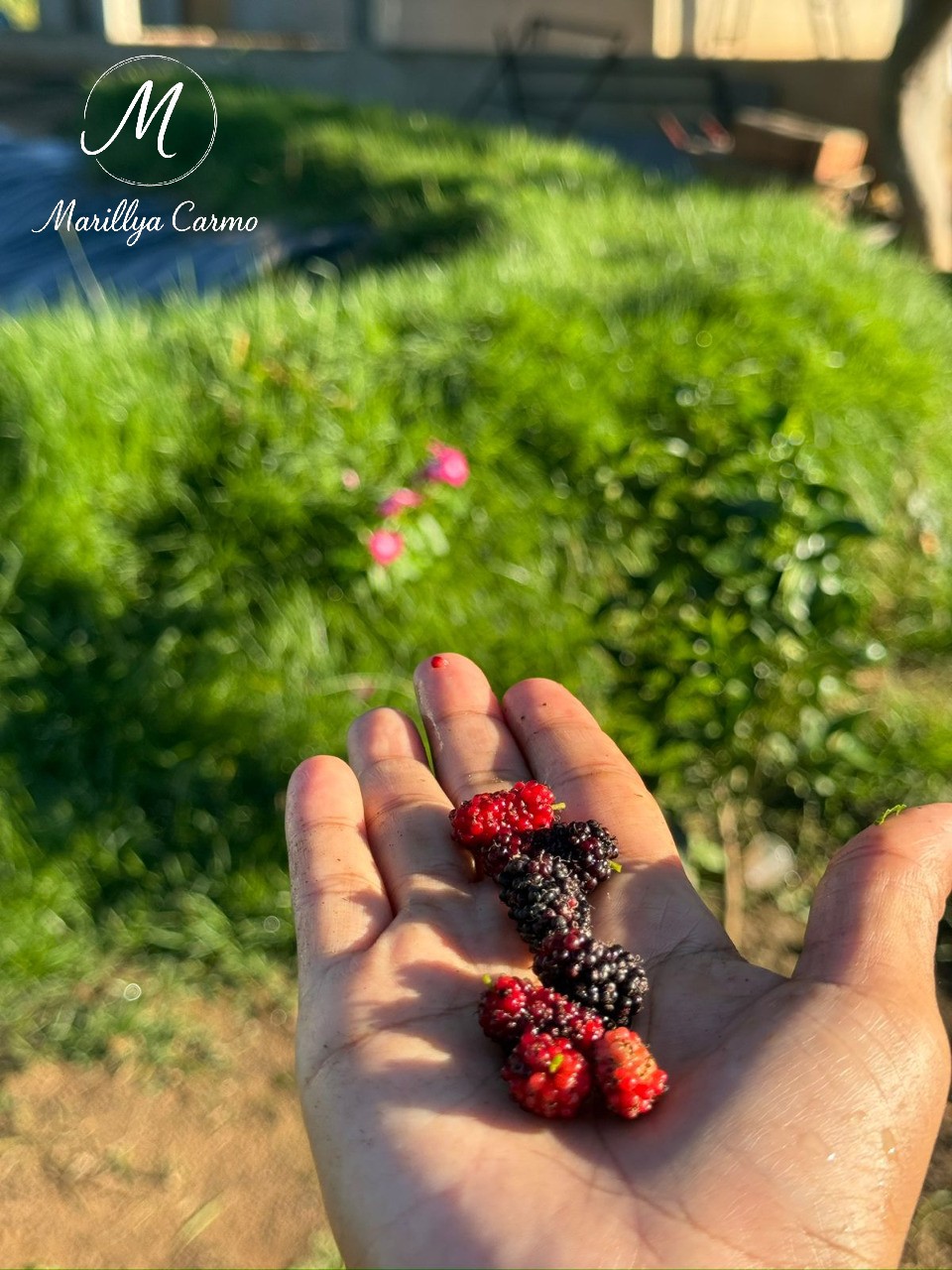 Sítio, 5 quartos - Foto 26