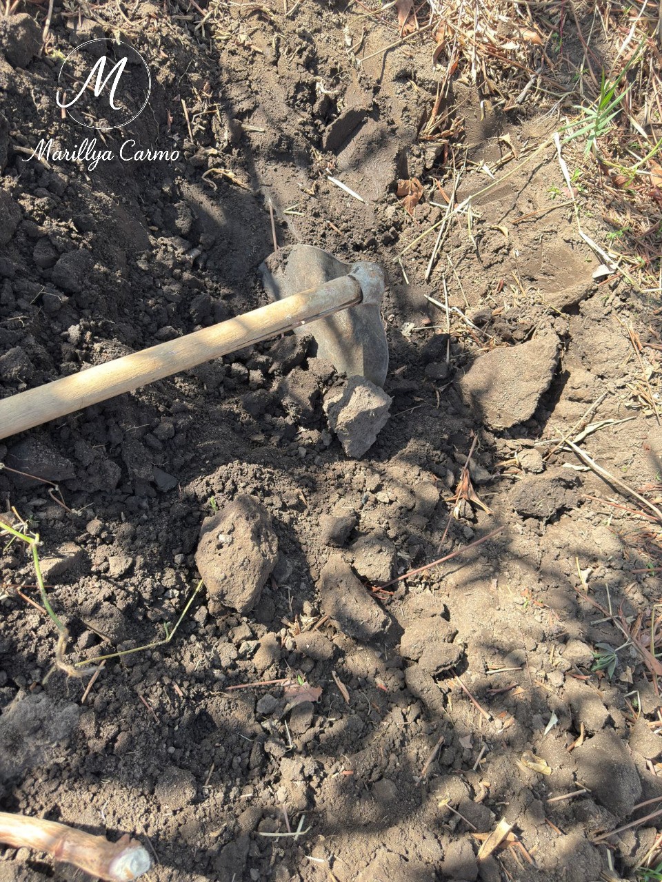 Sítio, 5 quartos - Foto 10