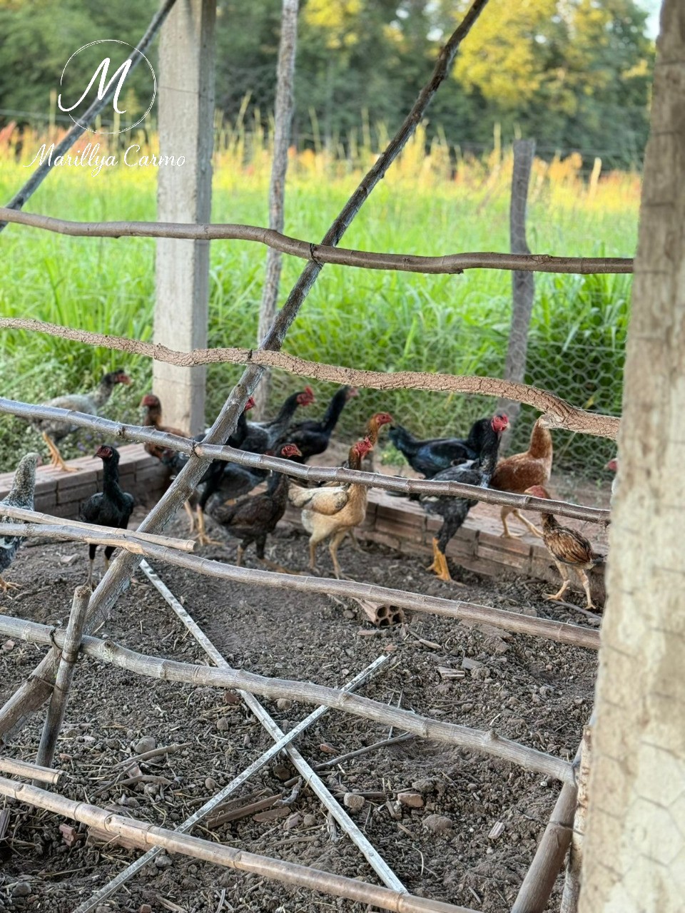 Sítio, 5 quartos - Foto 28