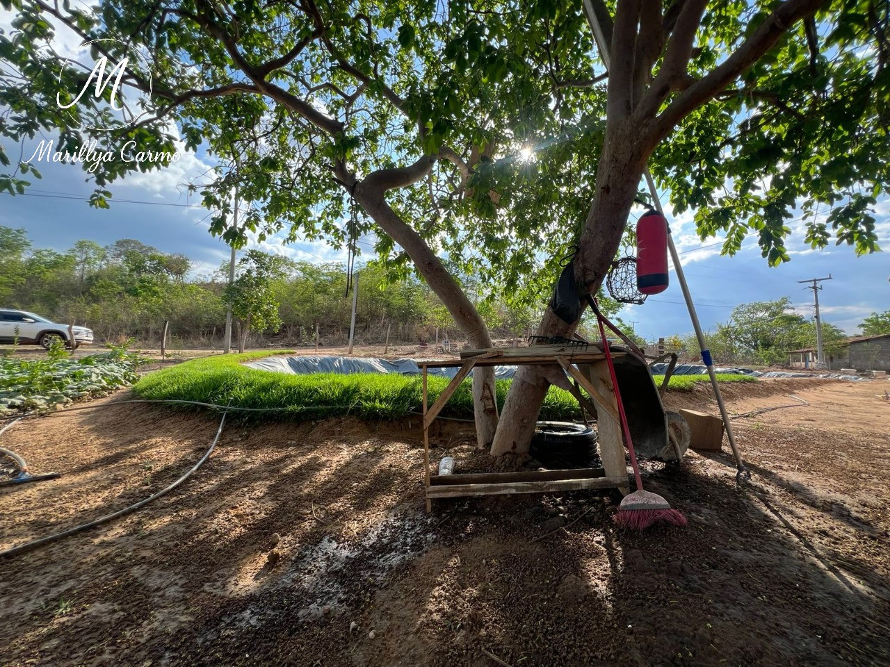 Sítio, 5 quartos - Foto 21