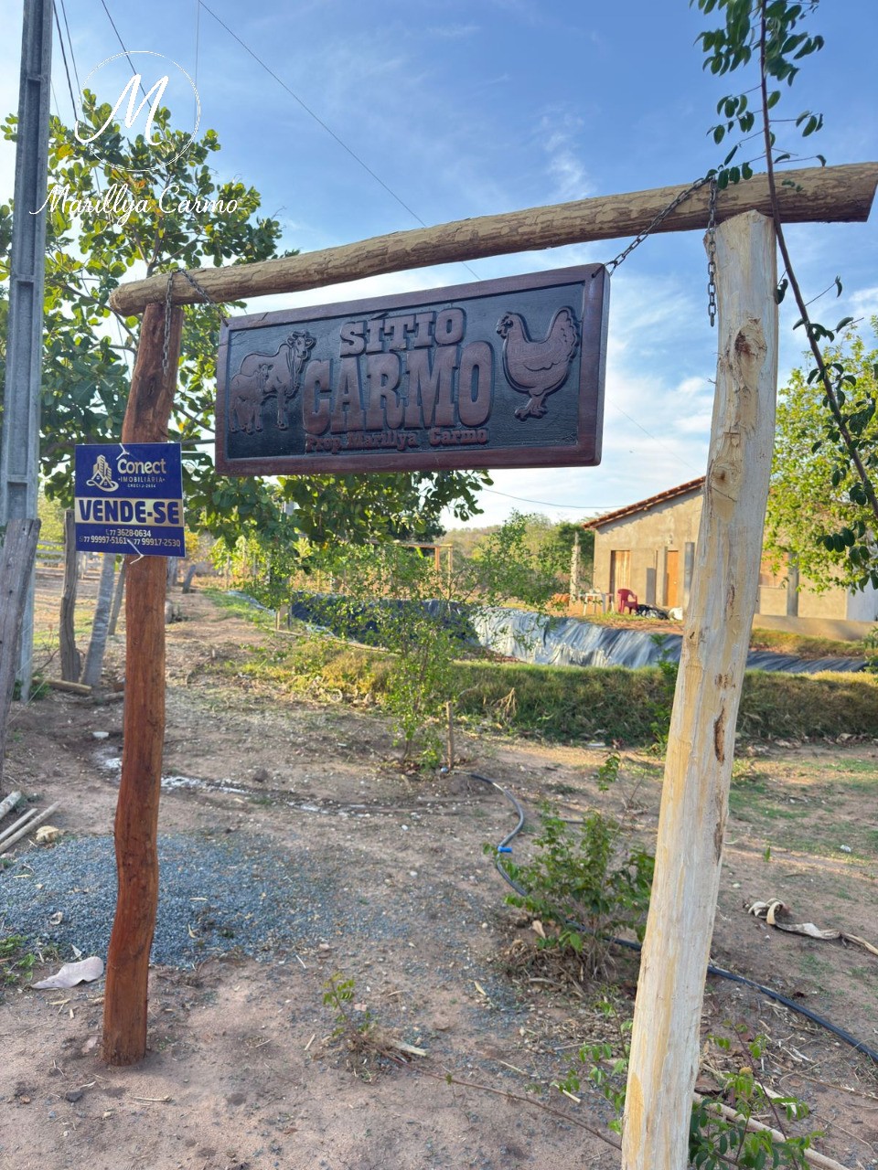 Sítio, 5 quartos - Foto 4