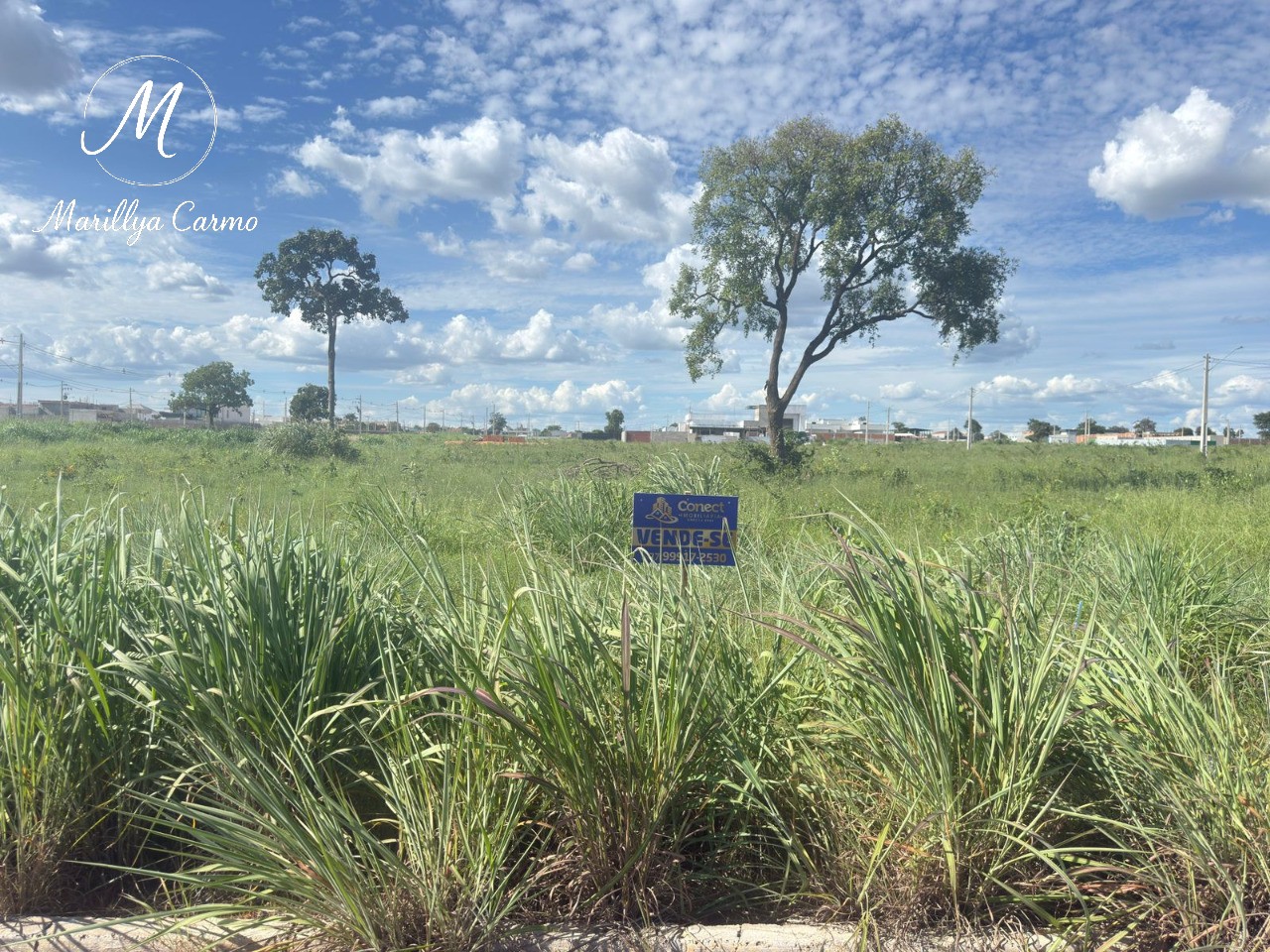 Terreno, 546 m² - Foto 3