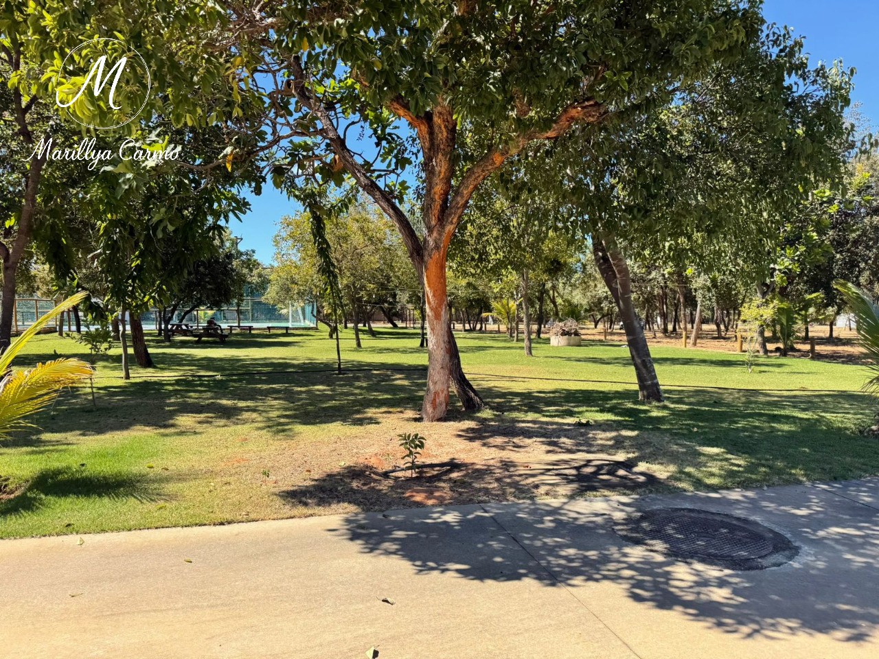 Terreno, 540 m² - Foto 5