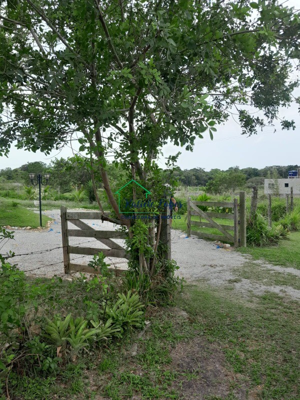 Chácara à venda com 4 quartos - Foto 6