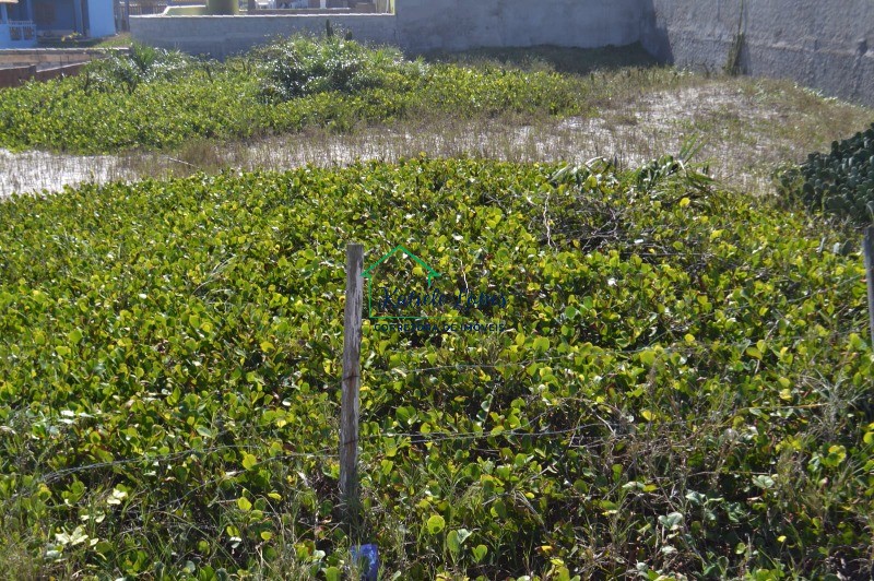 Terreno, 800 m² - Foto 11