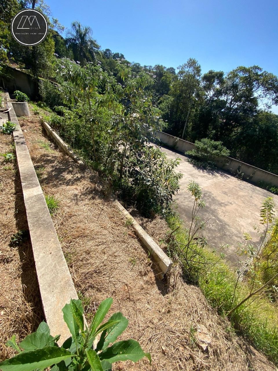 Casa, 4 quartos, 314 m² - Foto 11