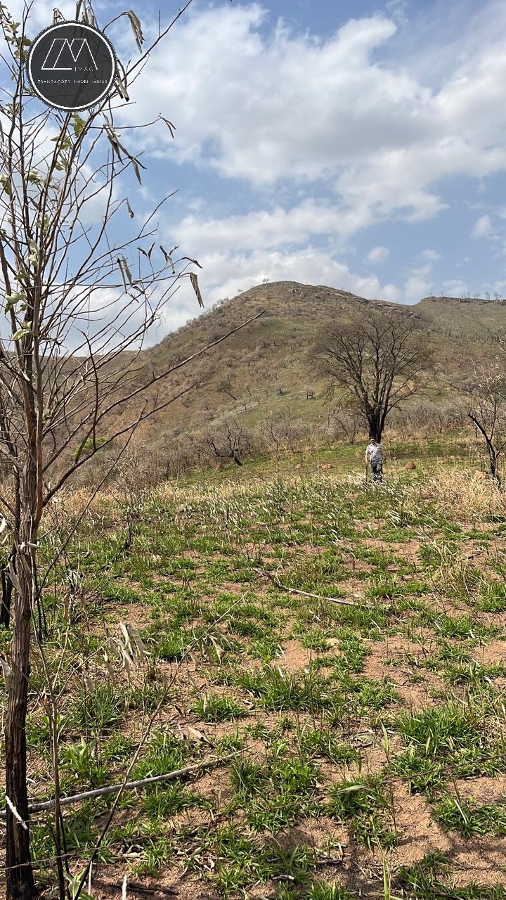 Terreno, 12 hectares - Foto 7