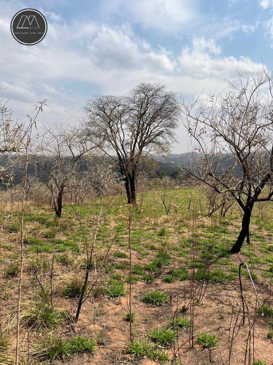 Terreno, 12 hectares - Foto 2