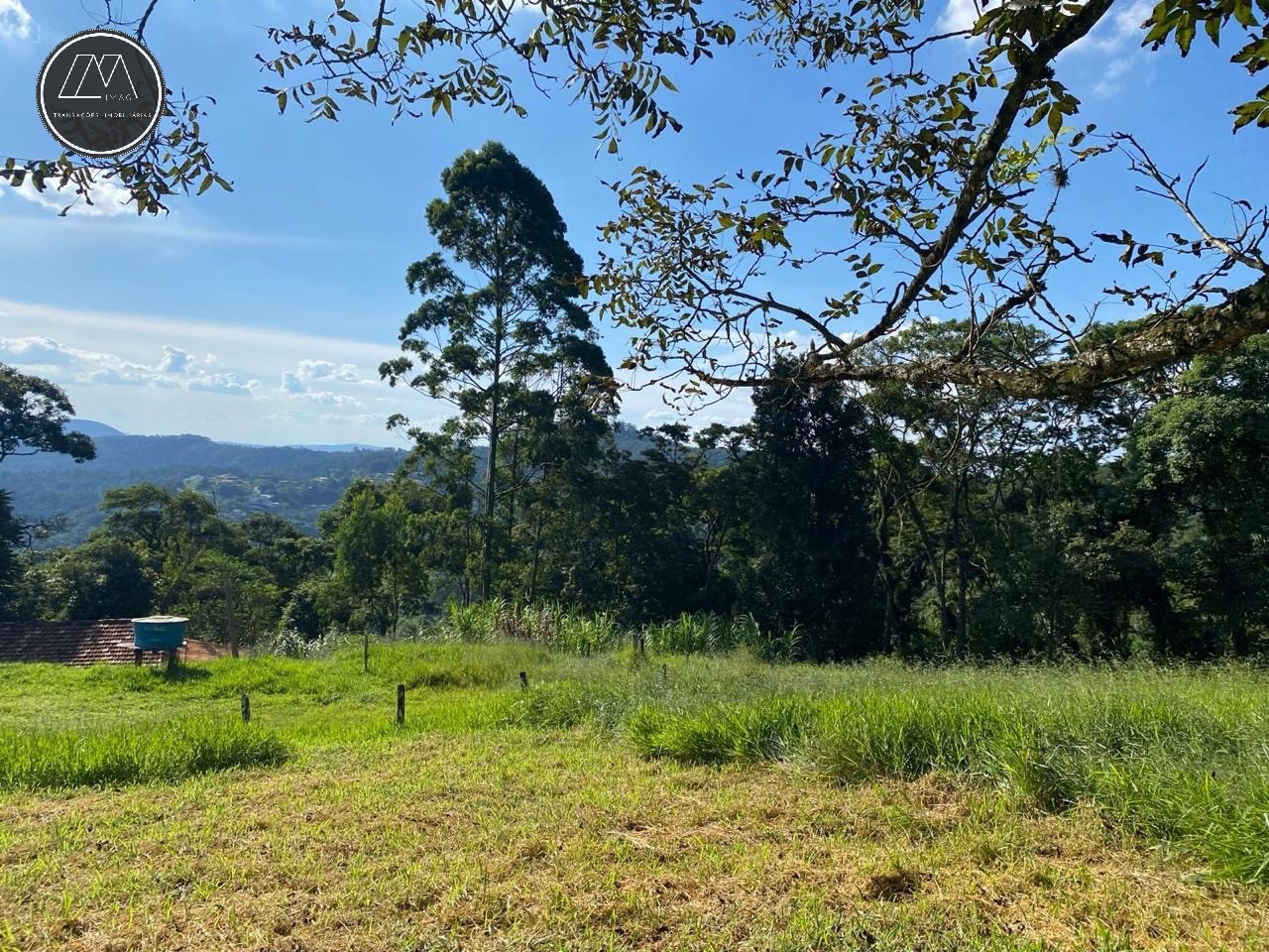 Terreno, 12 hectares - Foto 5