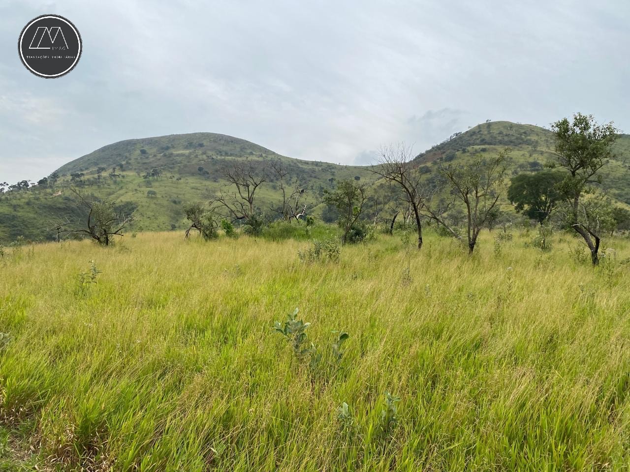 Terreno, 3321 m² - Foto 4