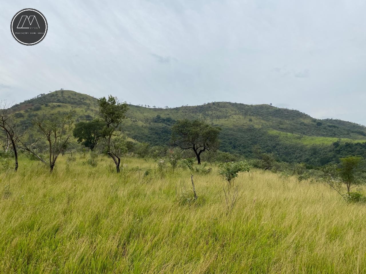 Terreno, 12 hectares - Foto 6