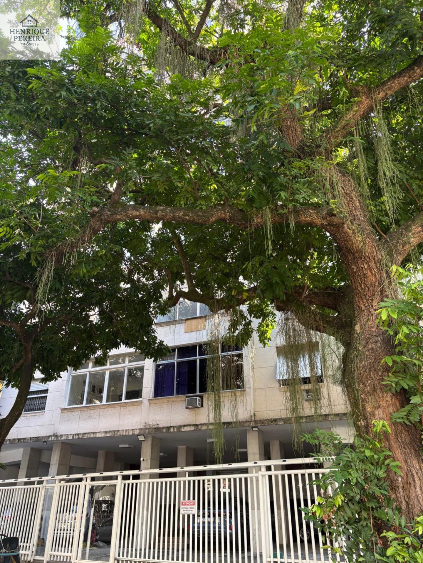 Apartamento 3 Quartos à Venda em Laranjeiras Rua das Laranjeiras I Oportunidade