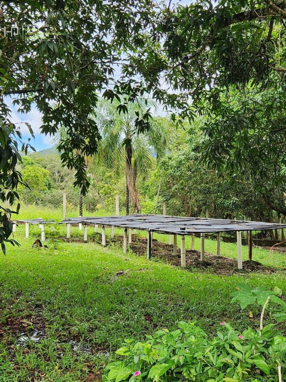 Chácara, 5 quartos, 1 hectares - Foto 10