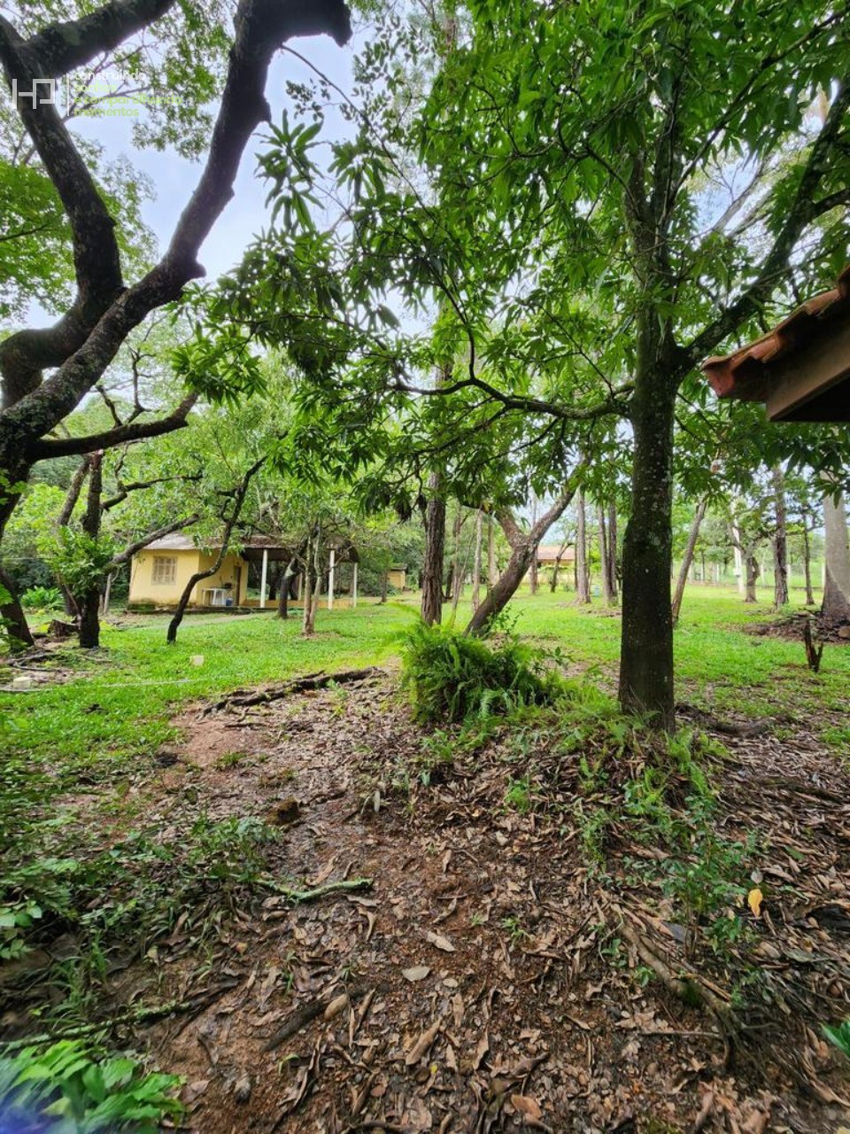 Chácara, 5 quartos, 1 hectares - Foto 2