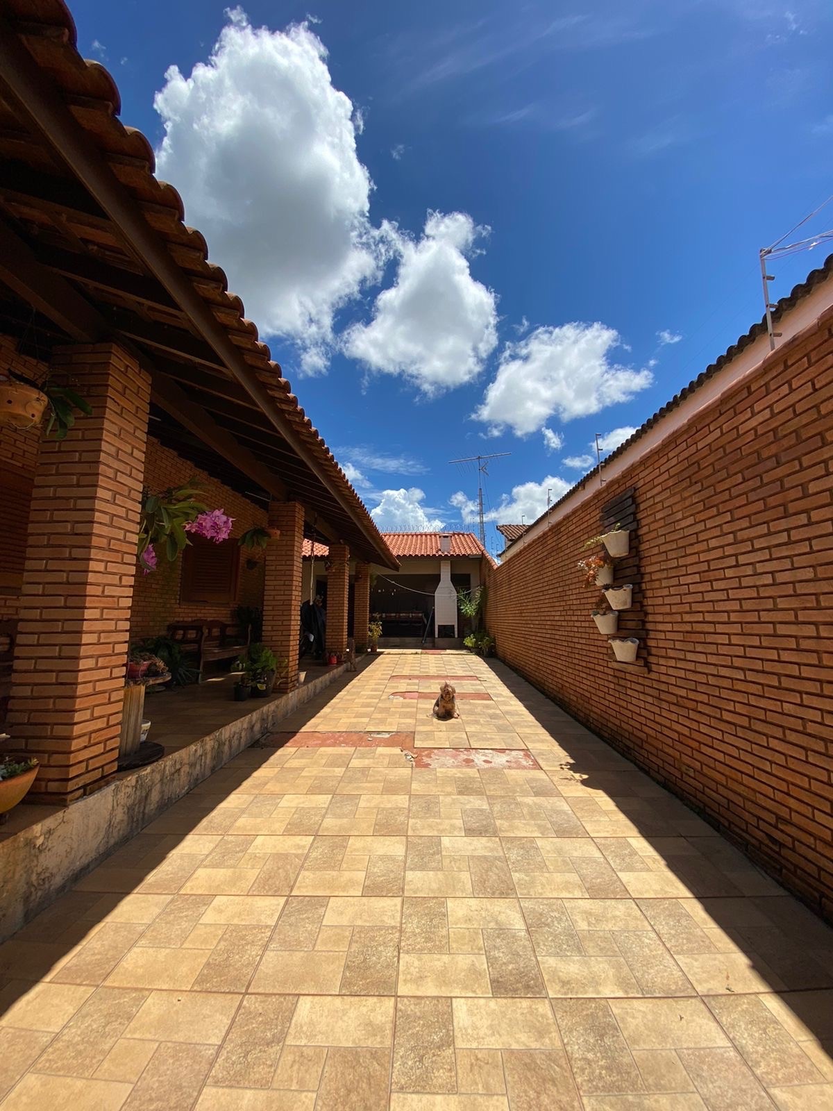 Imóvel Comercial, 248 m² - Foto 2