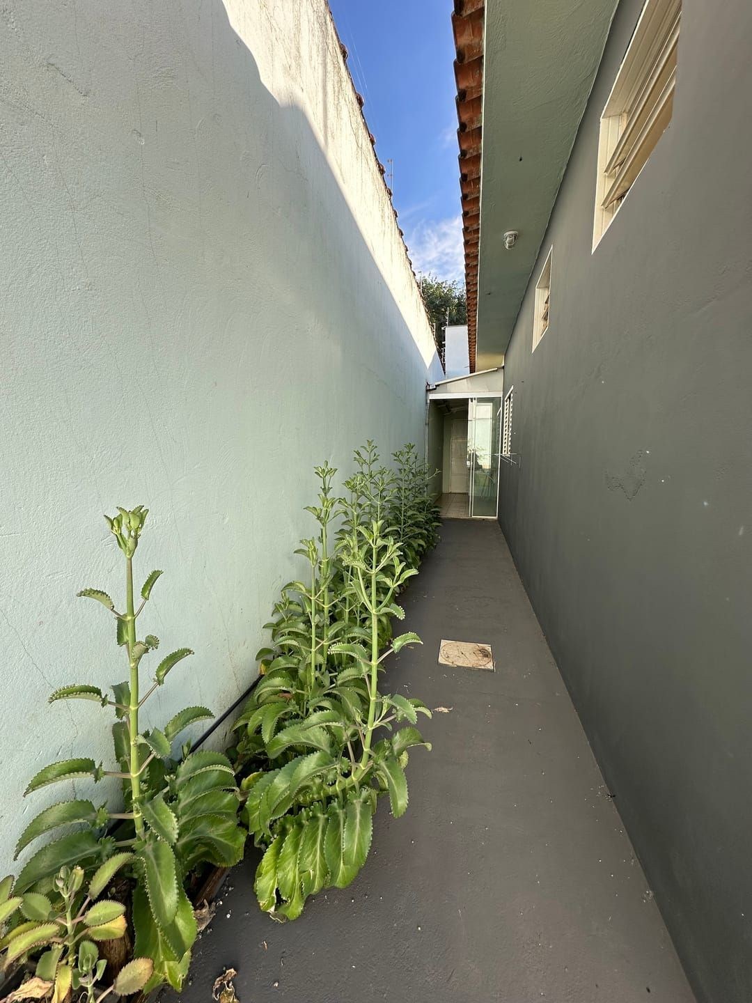 Casa, 3 quartos - Foto 11