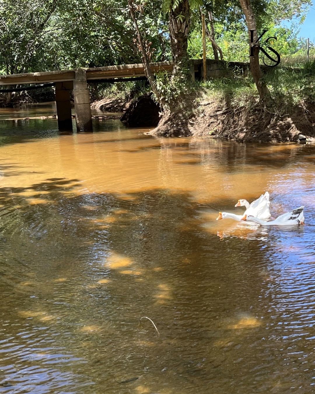 Terreno rural em camaçari - ba, parque nascente do rio capiv