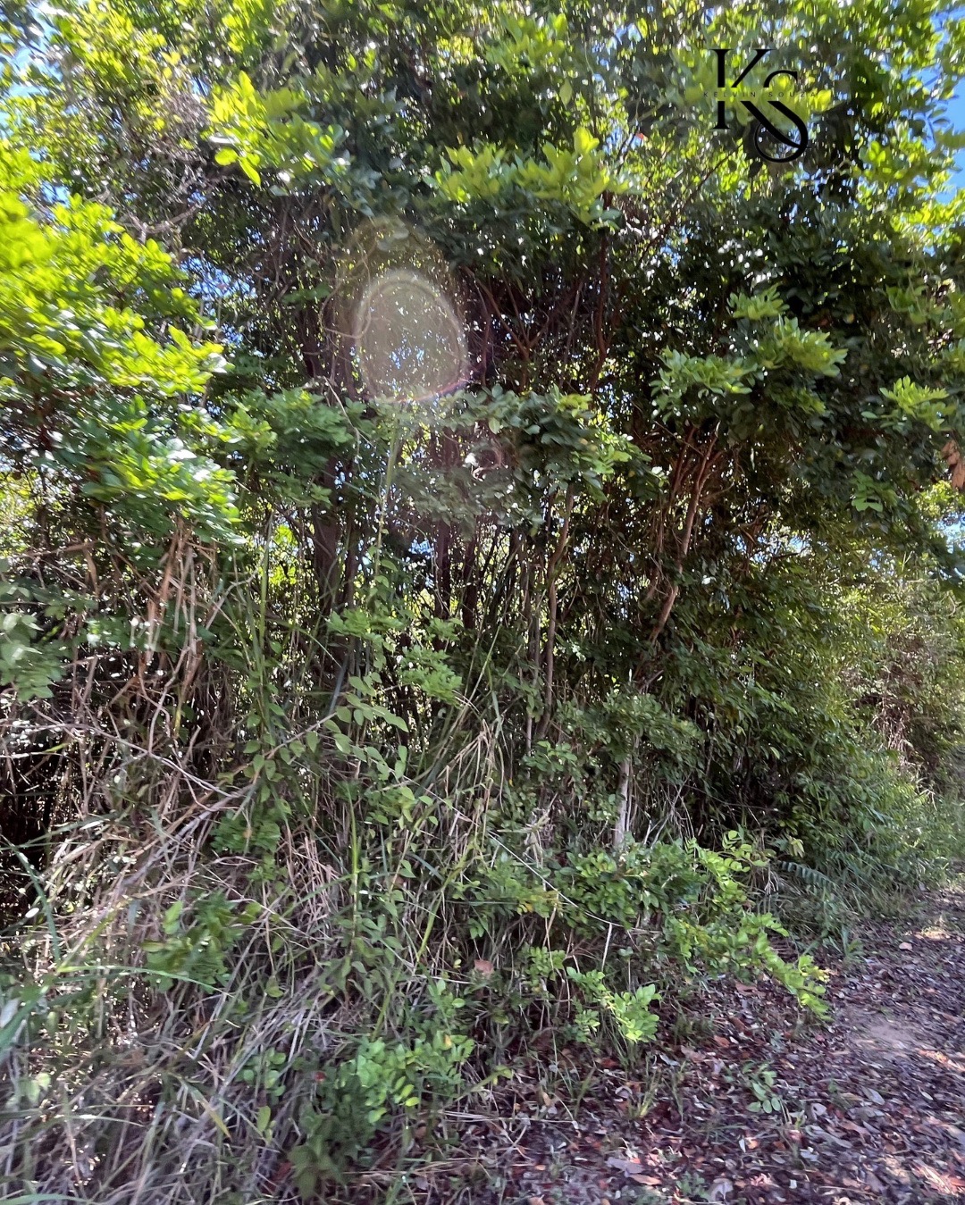 Terreno, 3000 m² - Foto 5