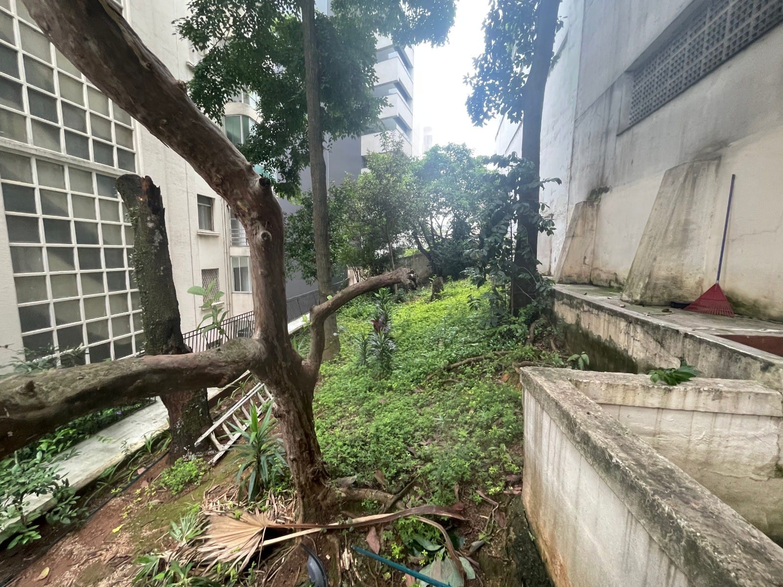 Apartamento, 3 quartos, 350 m² - Foto 7