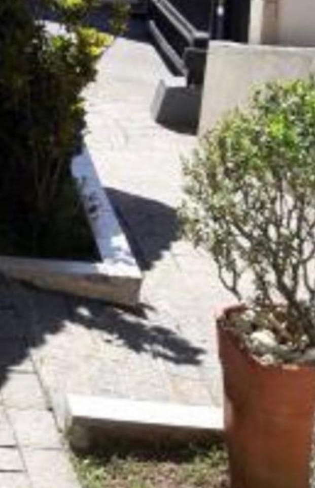 Casa, 4 quartos, 132 m² - Foto 6