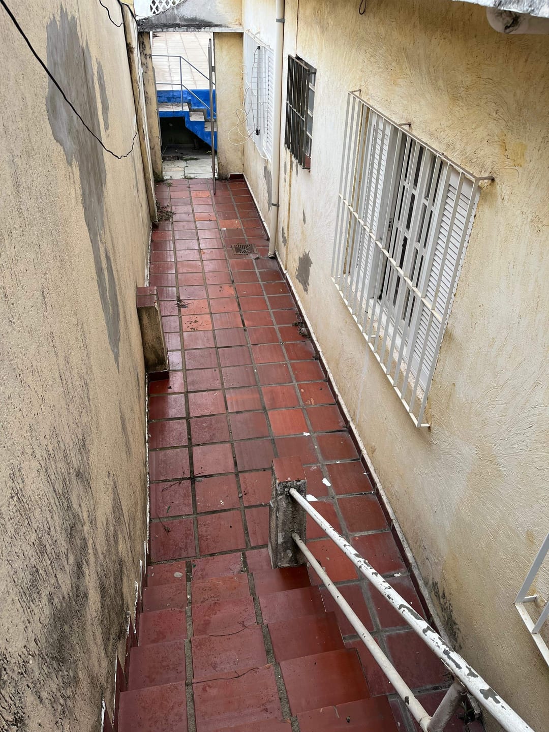 Casa, 5 quartos, 300 m² - Foto 10