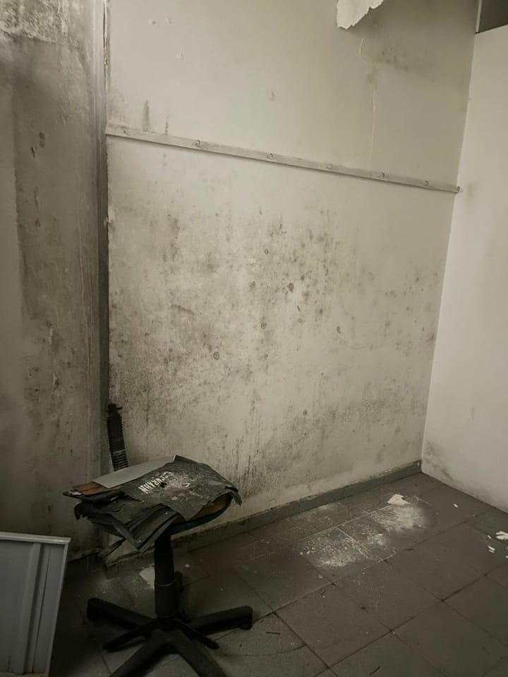 Prédio Inteiro, 460 m² - Foto 6