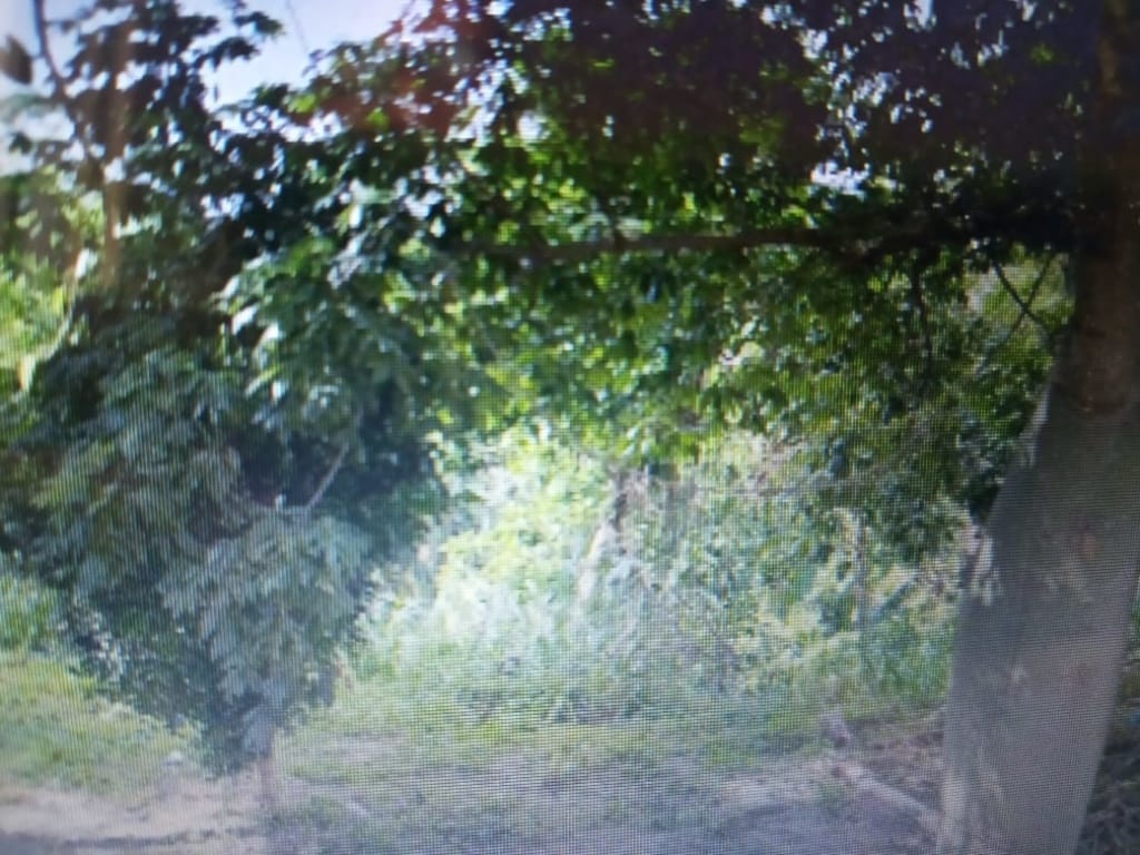 Terreno, 460 m² - Foto 2