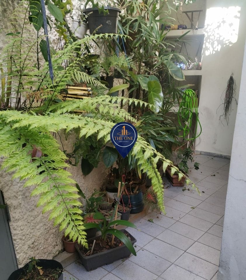 Casa, 4 quartos, 217 m² - Foto 3