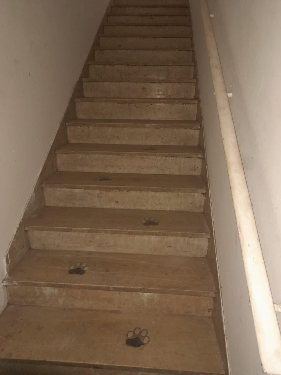 Casa, 281 m² - Foto 4