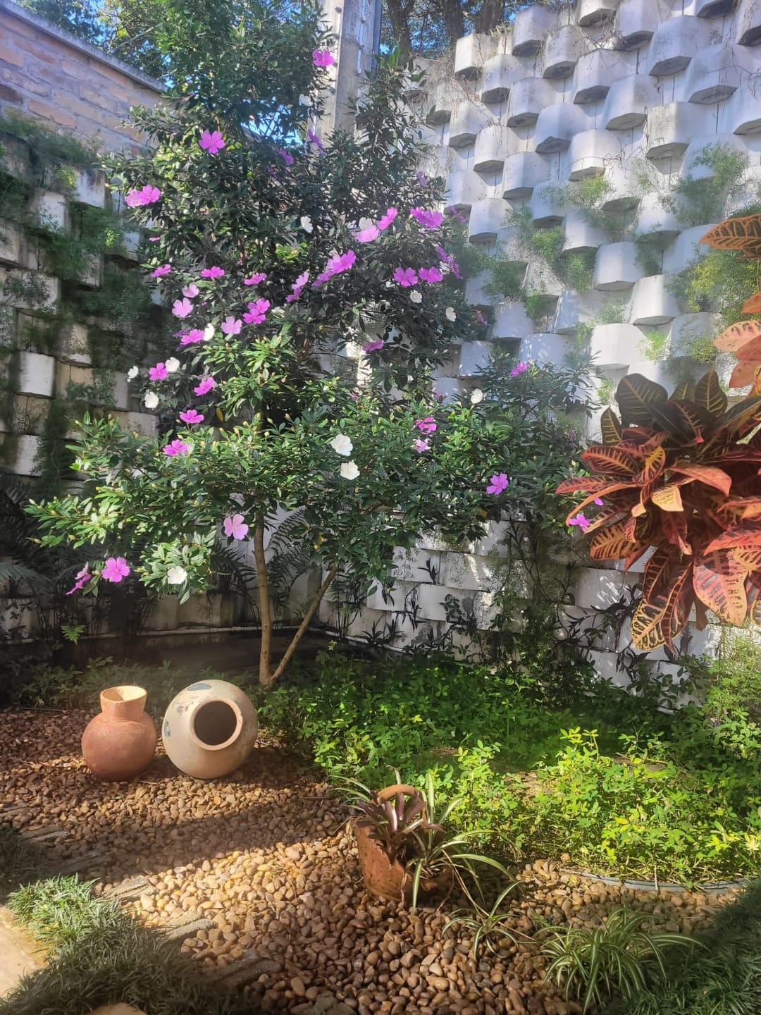 Casa, 3 quartos, 480 m² - Foto 19