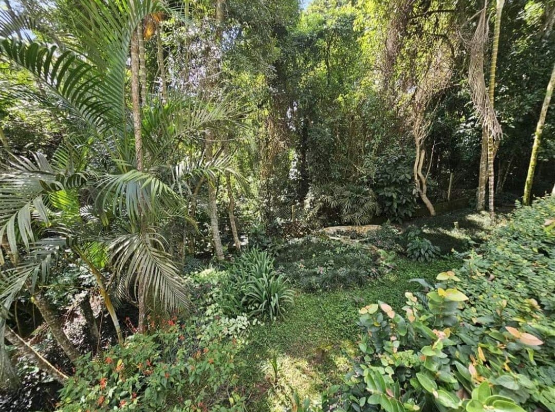 Casa, 3 quartos, 250 m² - Foto 72