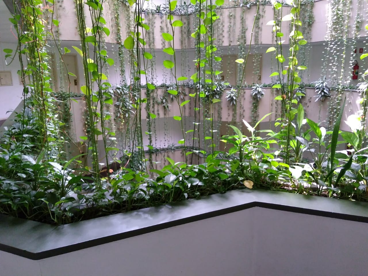 Flat/Apart Hotel, 1 quarto, 40 m² - Foto 10